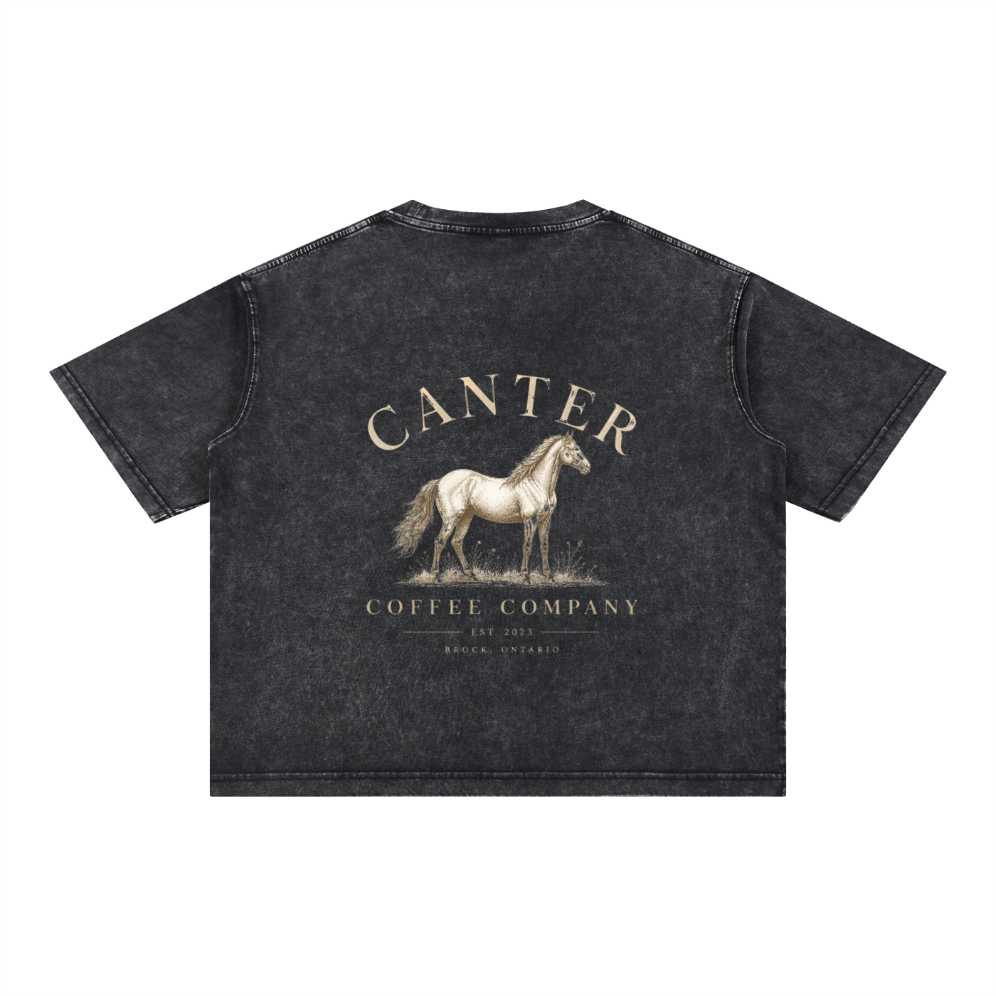 Mineral Wash Boxy Cotton T-Shirt