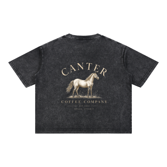 Mineral Wash Boxy Cotton T-Shirt